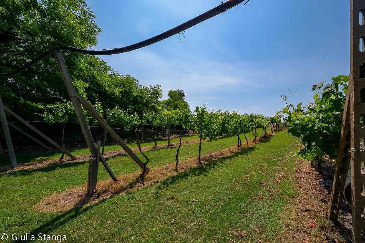 Agriturismo Cascina Graziosa Lonato Alloggio per agriturismo